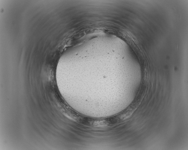 X0000062650173200601040927