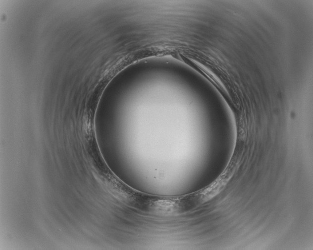 X0000062650176200601040927