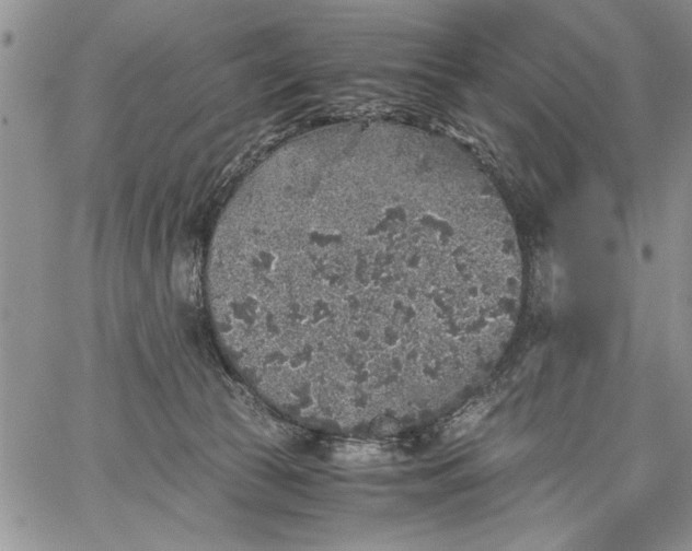 X0000062650177200601040927