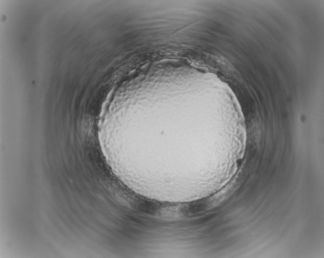 X0000062650178200601040927