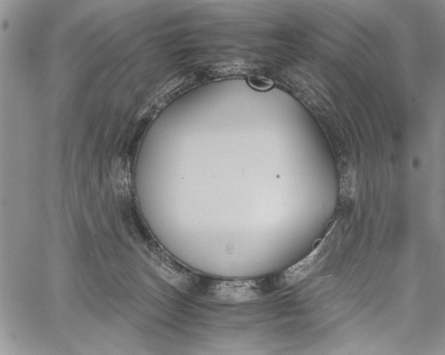 X0000062650179200601040927