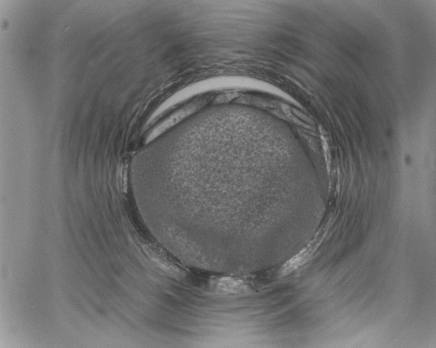 X0000062650180200601040927