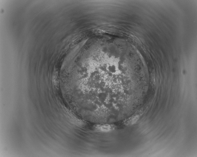 X0000062650181200601040927