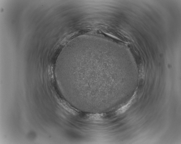 X0000062650182200601040927