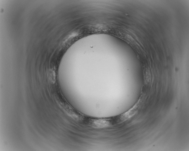 X0000062650183200601040927