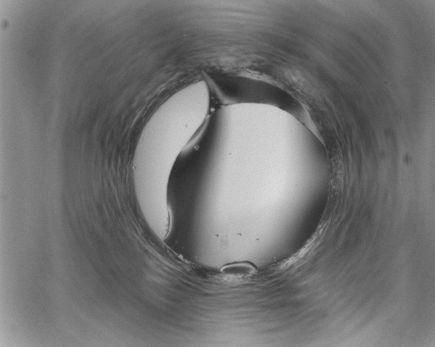 X0000062650184200601040927