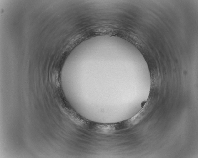 X0000062650187200601040927