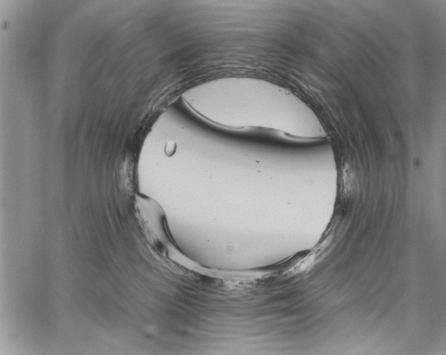 X0000062650188200601040927