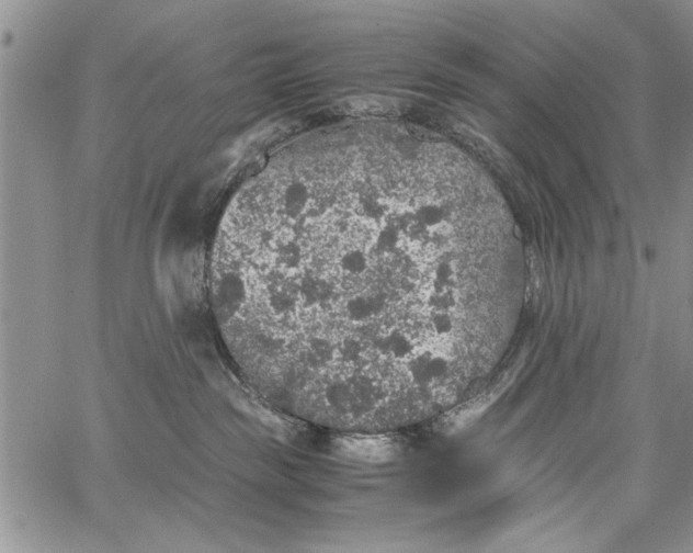 X0000062650189200601040927