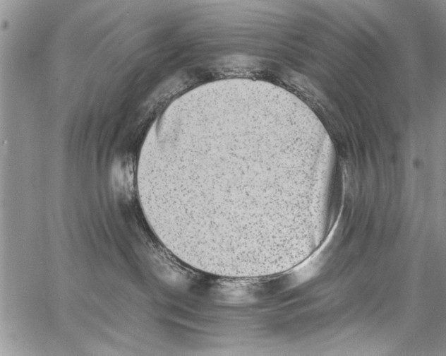 X0000062650190200601040927