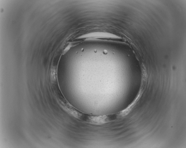 X0000062650191200601040927