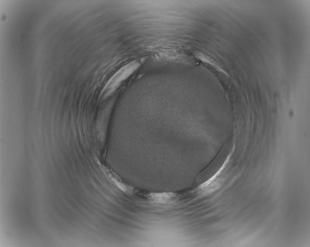 X0000062650192200601040927