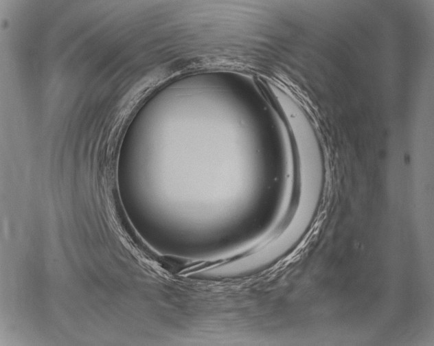 X0000062650193200601040927