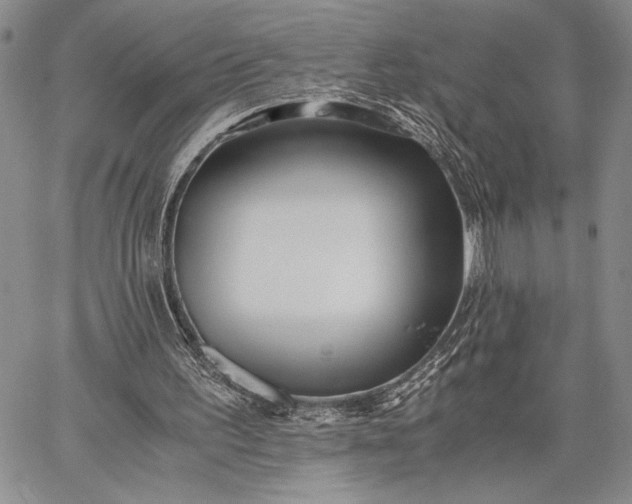 X0000062650195200601040927