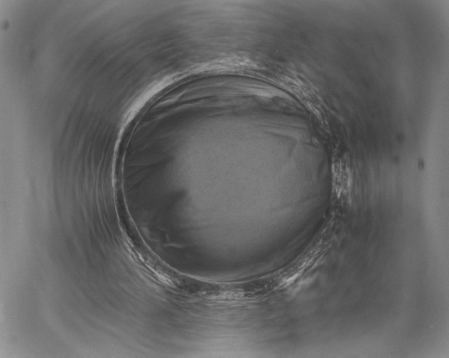 X0000062650196200601040927