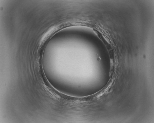 X0000062650197200601040927