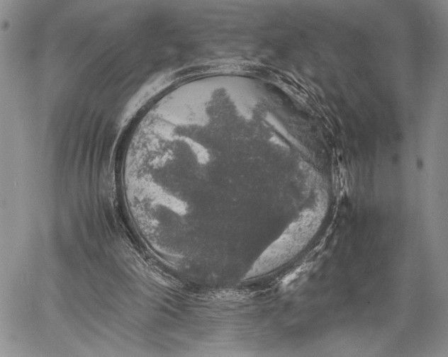 X0000062650198200601040927