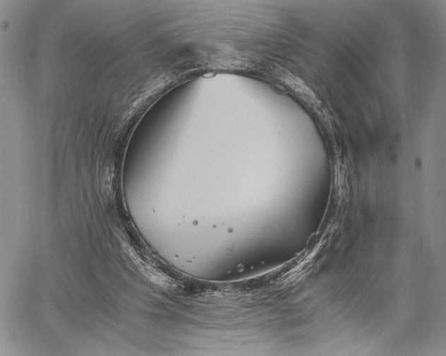 X0000062650201200601040927