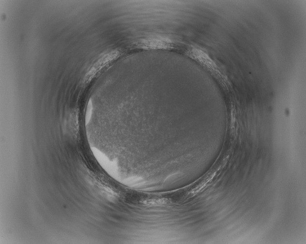 X0000062650202200601040927