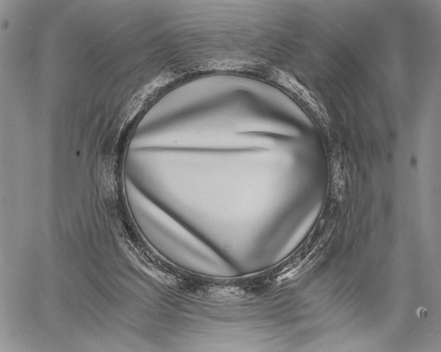 X0000062650203200601040926