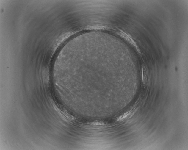 X0000062650204200601040926