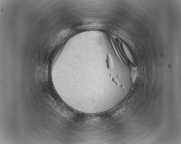 X0000062650206200601040926