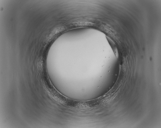 X0000062650207200601040926