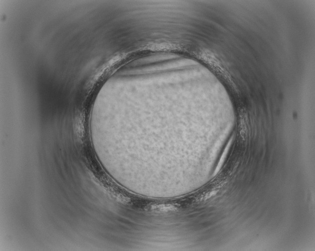 X0000062650208200601040926