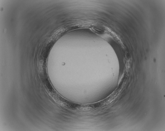 X0000062650209200601040926