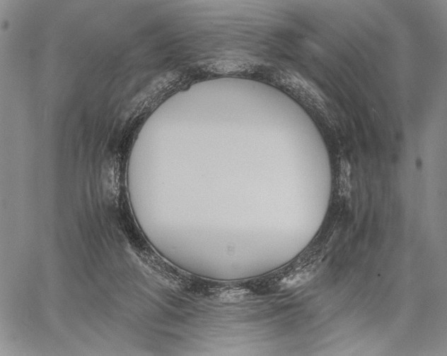 X0000062650210200601040926