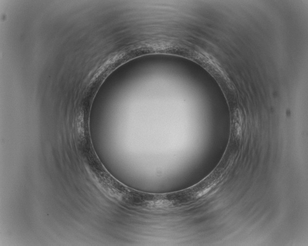 X0000062650212200601040926