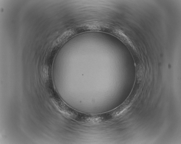 X0000062650213200601040926