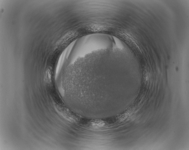 X0000062650214200601040926