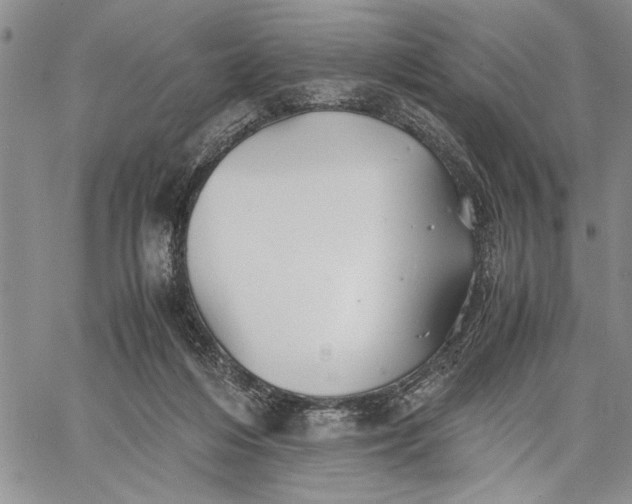 X0000062650216200601040926