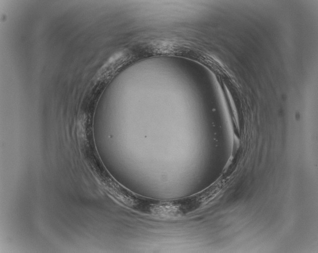 X0000062650217200601040926