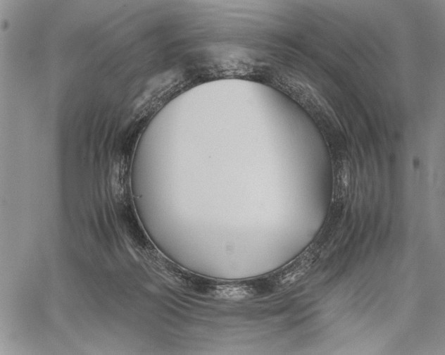 X0000062650218200601040926