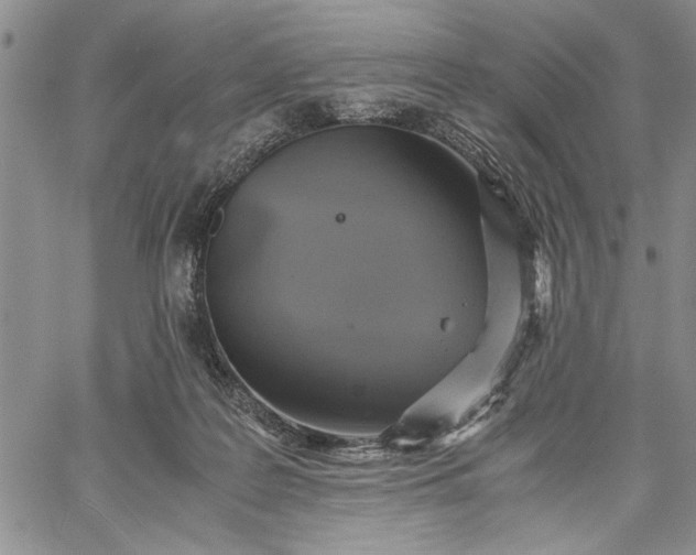 X0000062650219200601040926