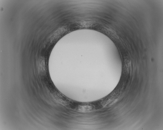 X0000062650220200601040926