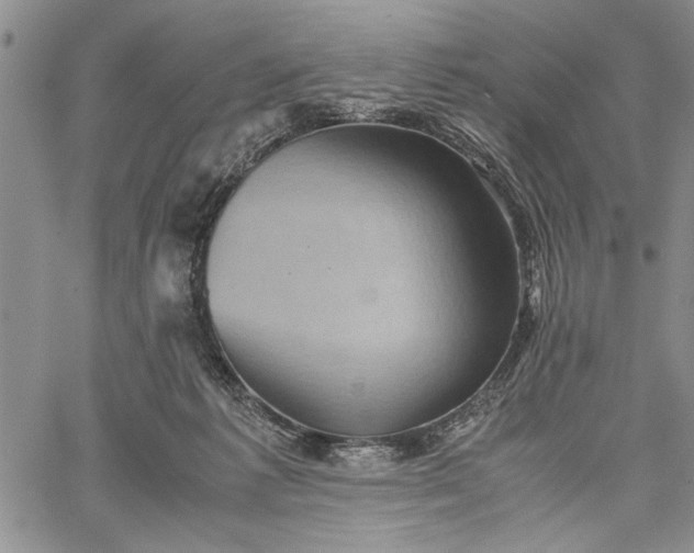 X0000062650221200601040926