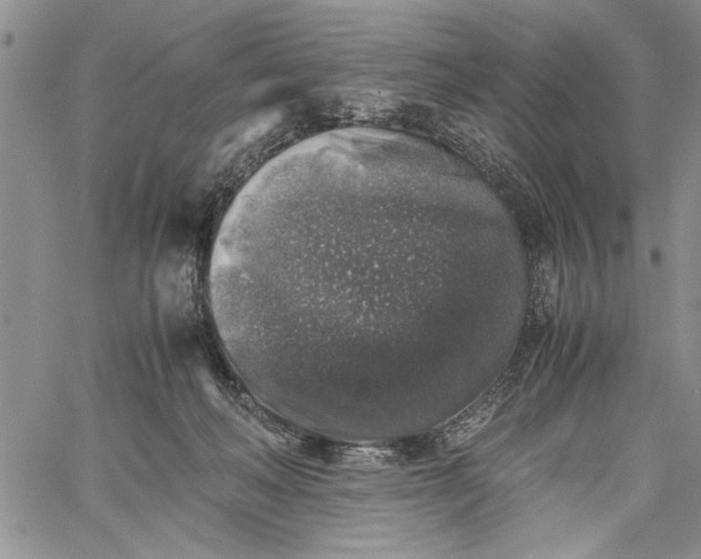 X0000062650222200601040926