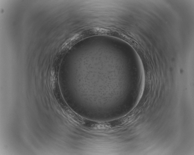 X0000062650223200601040926