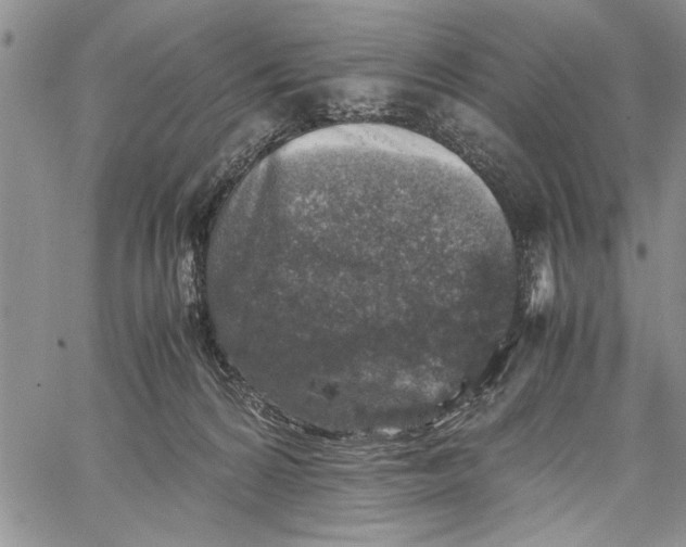 X0000062650224200601040926