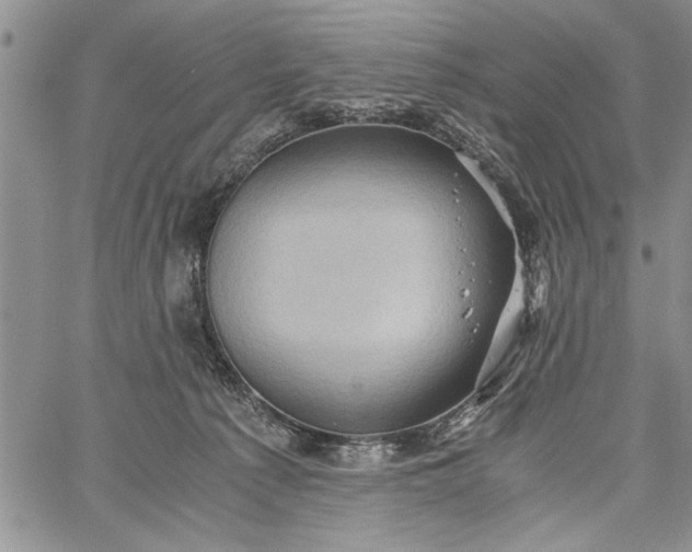 X0000062650225200601040926