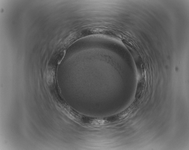 X0000062650227200601040926