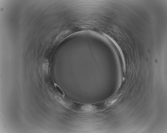 X0000062650231200601040926