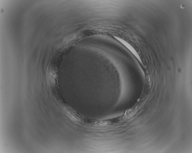 X0000062650235200601040926