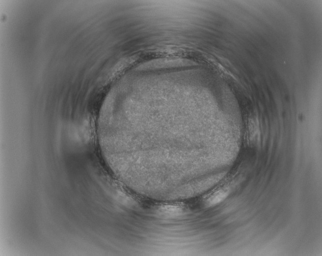 X0000062650236200601040926