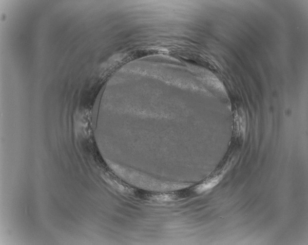 X0000062650237200601040926