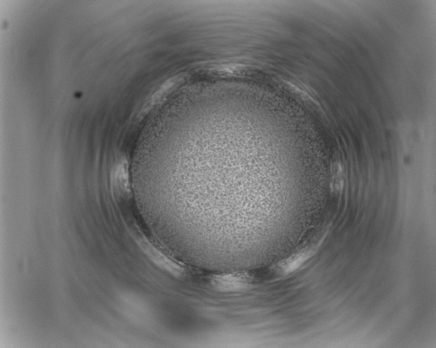 X0000062650238200601040926