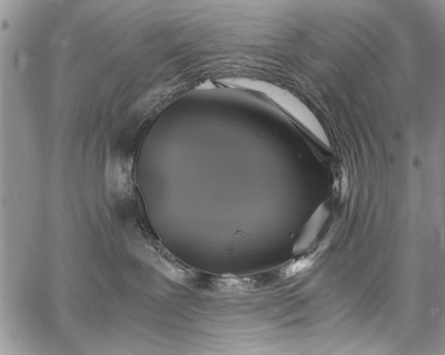 X0000062650239200601040926